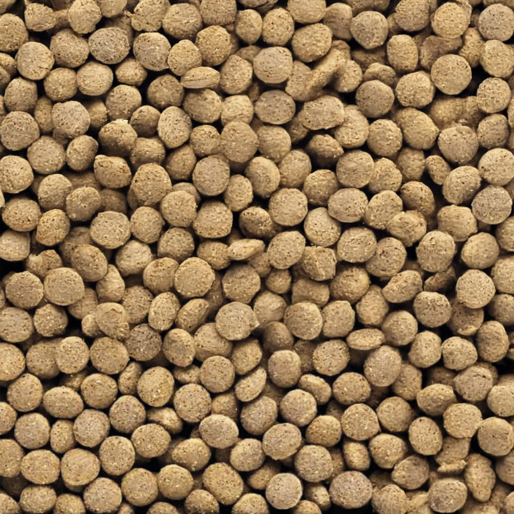 Hikari Dragon Delite Granulat dla jaszczurek 200g